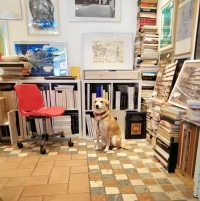 Interno della libreria